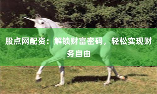 股点网配资：解锁财富密码，轻松实现财务自由