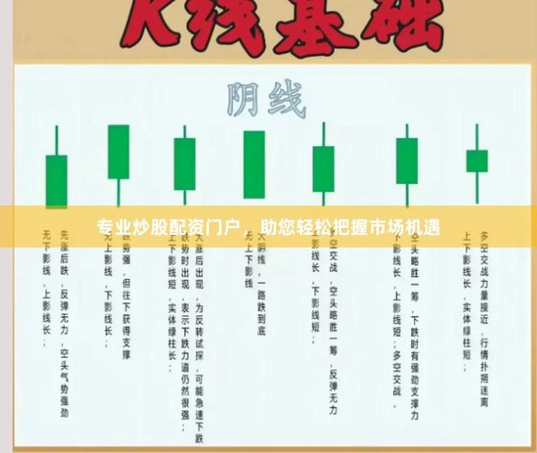 专业炒股配资门户，助您轻松把握市场机遇