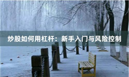 炒股如何用杠杆：新手入门与风险控制