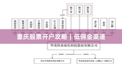 重庆股票开户攻略｜低佣金渠道